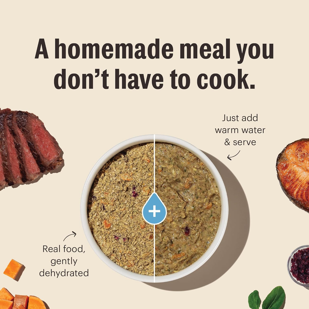 The Honest Kitchen Wholemade Grain Free Beef Dog Food, 4 lb (Makes 16 lbs)