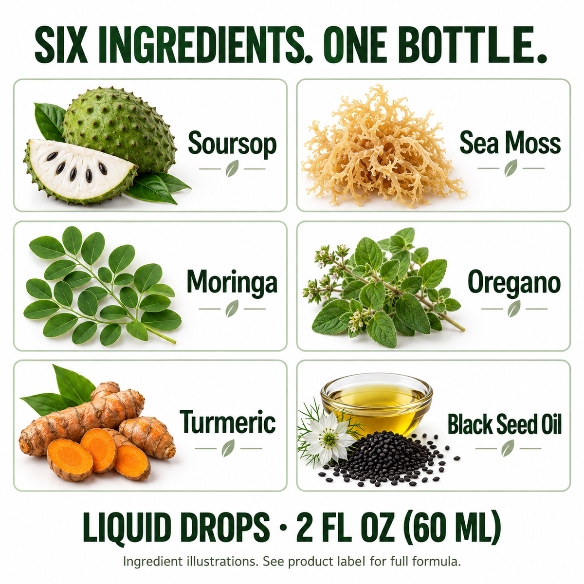 Illustrations of soursop, sea moss, moringa, oregano, turmeric and black seed oil