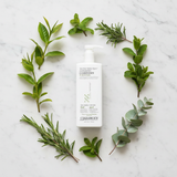 UGC flat lay tea tree botanical