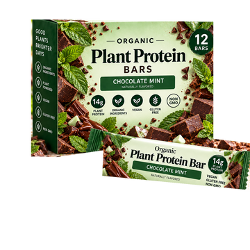 Chocolate Mint