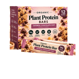 Oatmeal Chocolate Chip